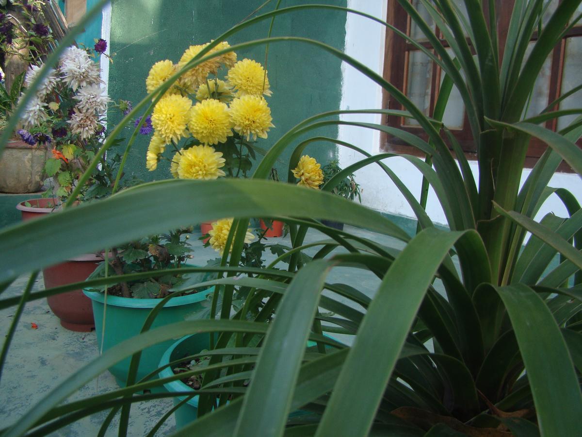 White Heart Hotel Ела Екстериор снимка